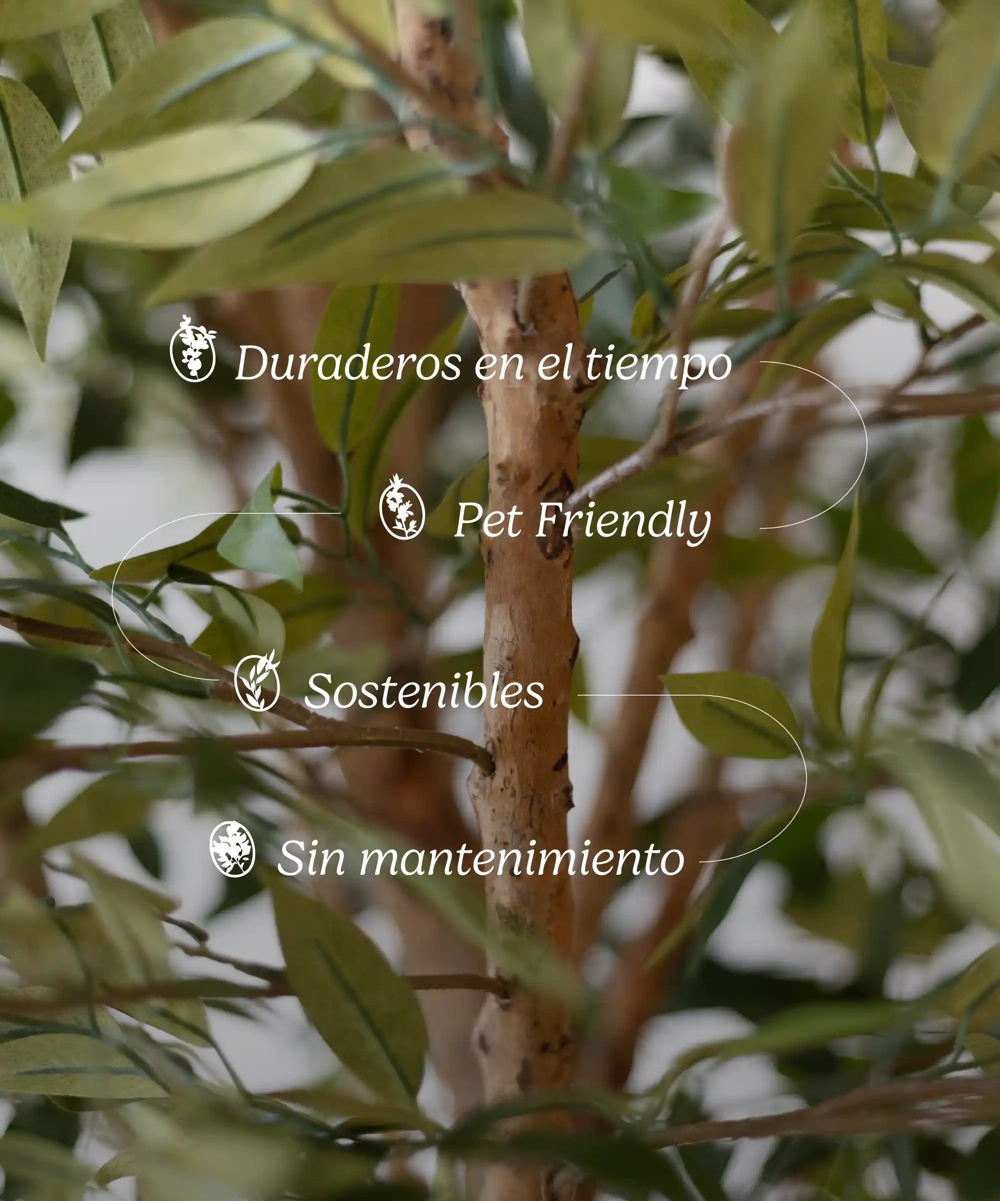 MAIA SHOP Ficus Artificial Caracteristicas