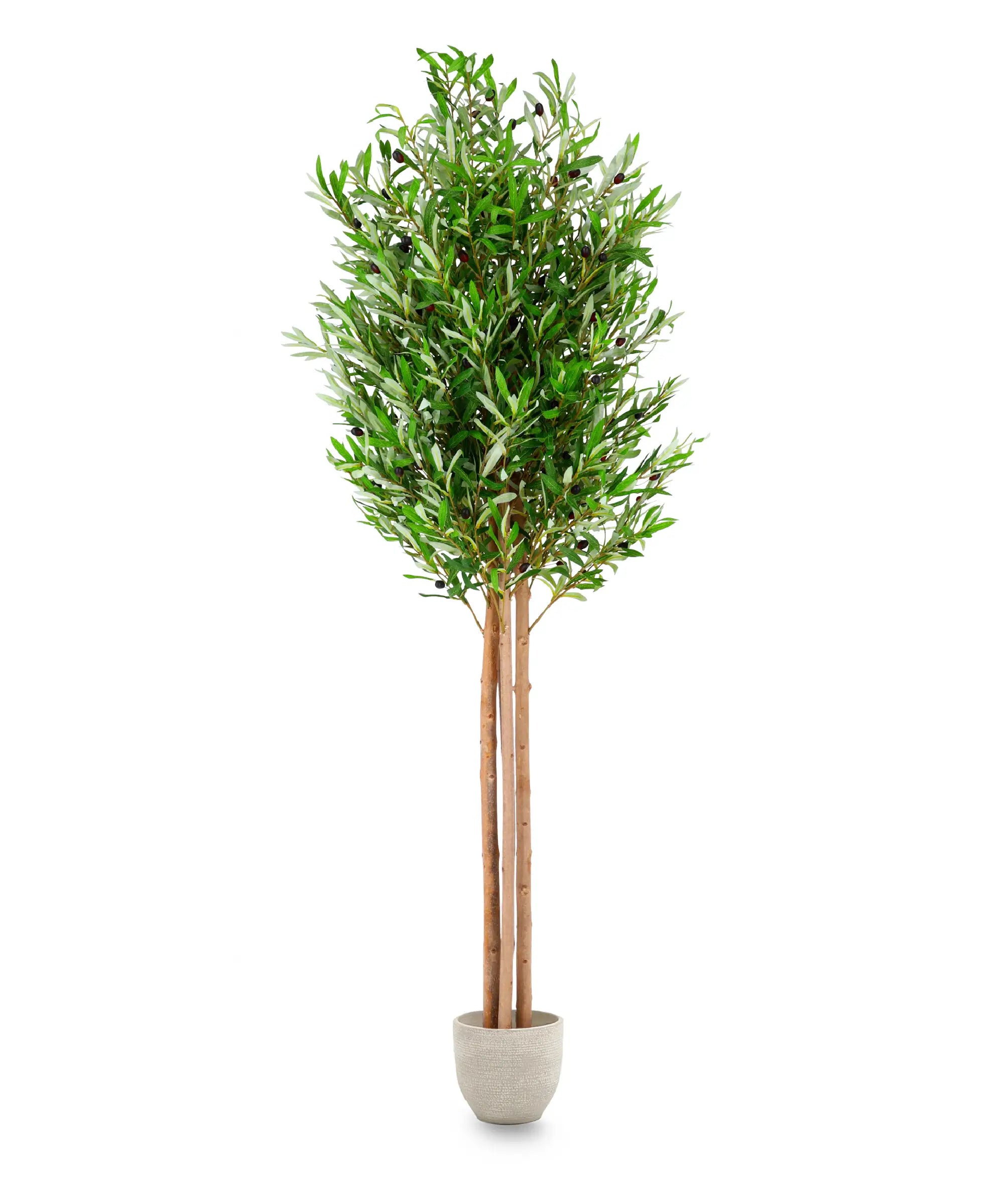 Olivo Artificial MAIA SHOP
