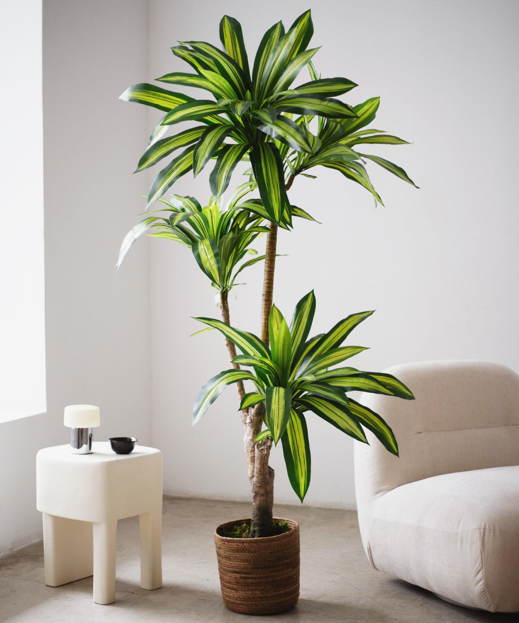 Maceta de Mimbre Gaia MAIA SHOP L