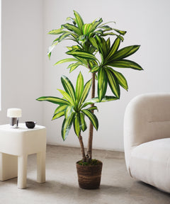 Maceta de Mimbre Gaia MAIA SHOP S