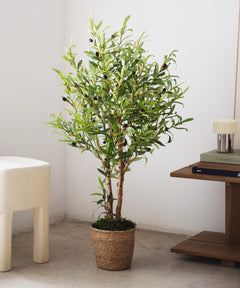 Maceta de Mimbre Lia MAIA SHOP S