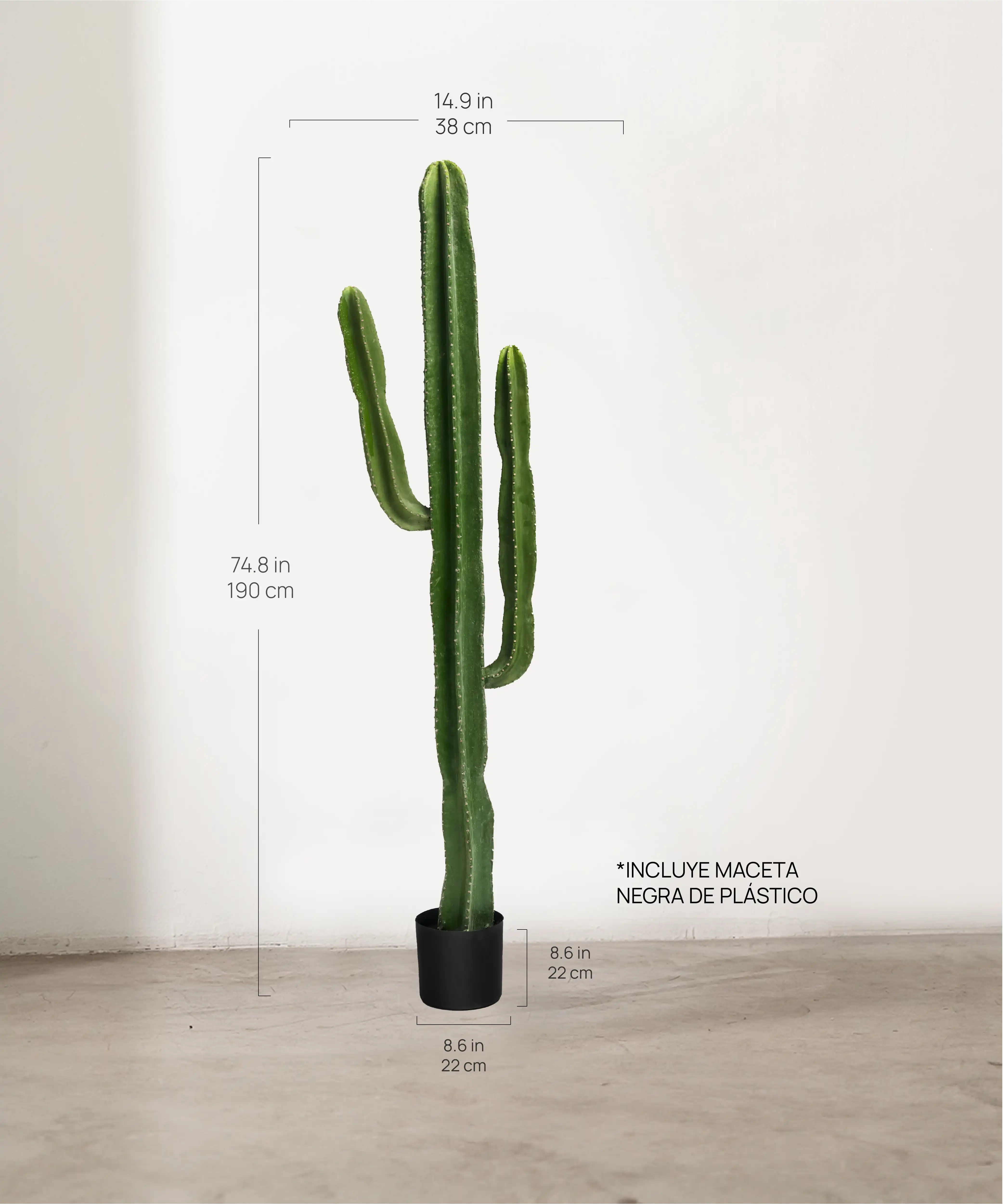 Medidas Cactus Artificial 190 MAIA SHOP