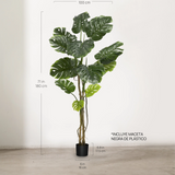 Medidas Monstera Artificial 180 MAIA SHOP