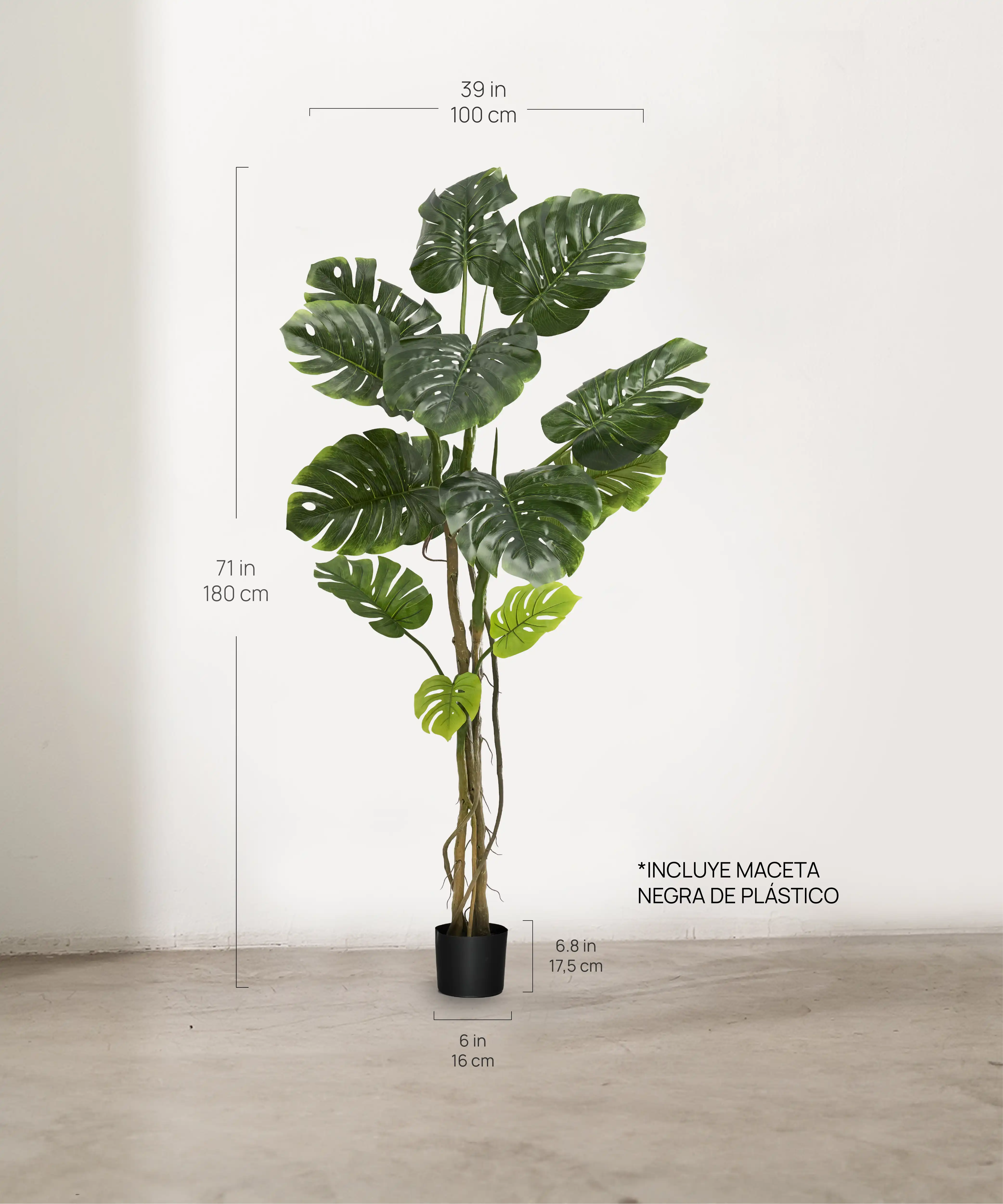 Medidas Monstera Artificial 180 MAIA SHOP