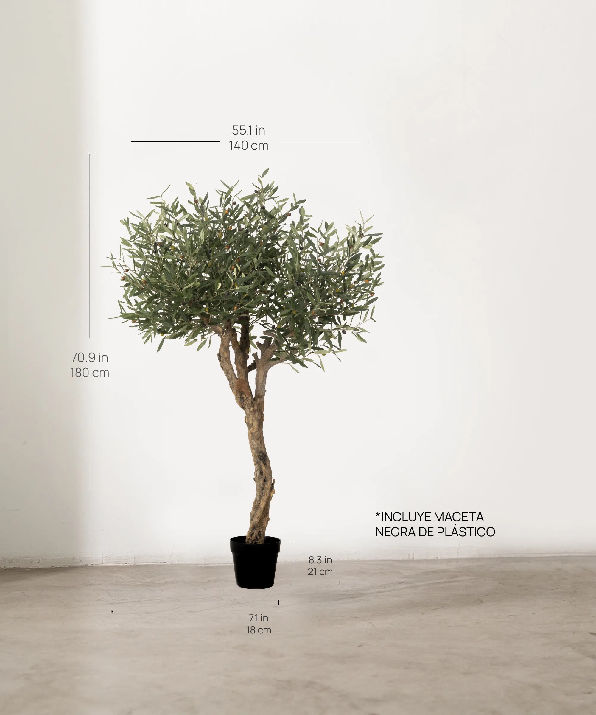 Medidas Olivo Artificial Centennial 180 cm