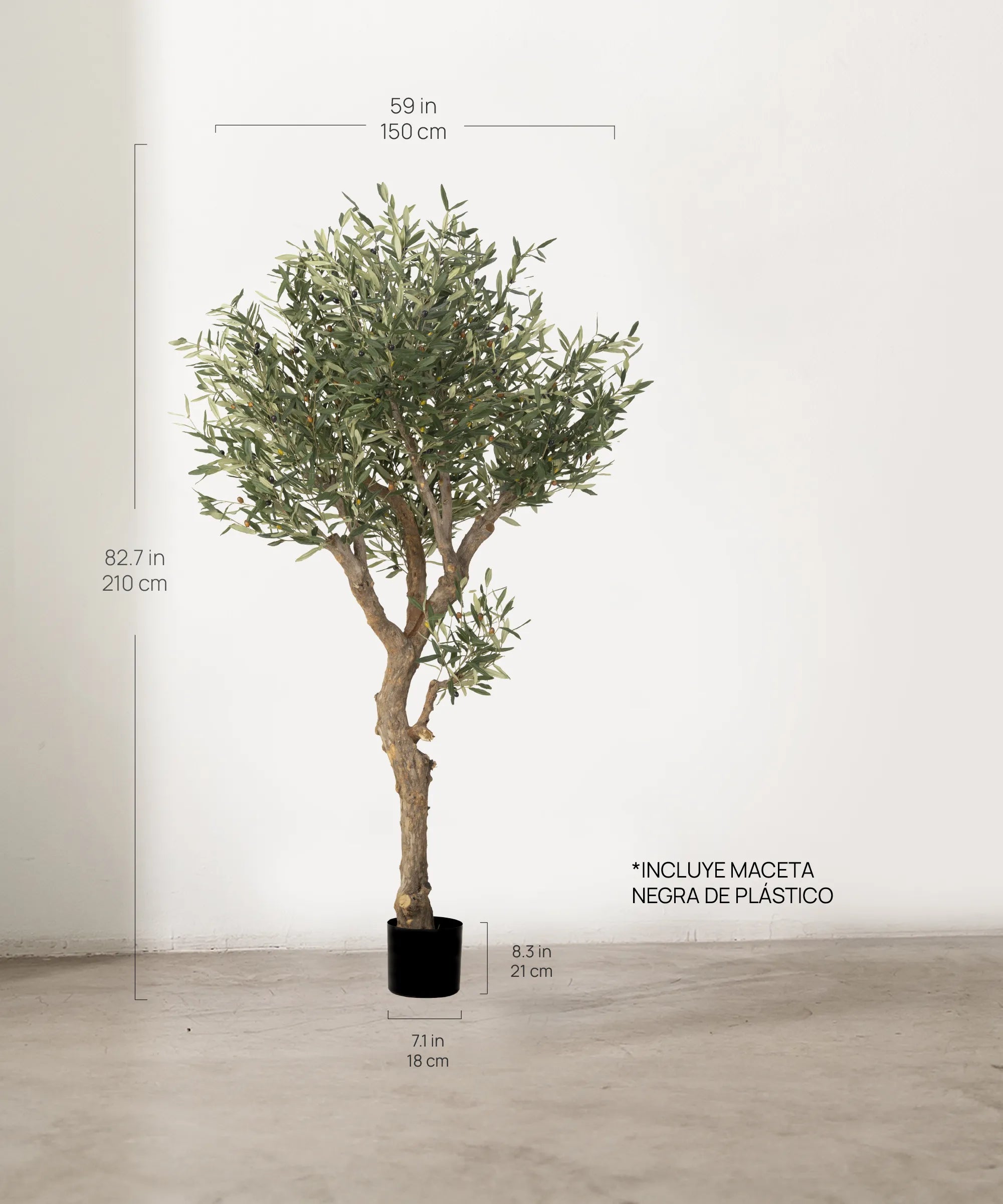 Medidas Olivo Artificial Centennial 210cm