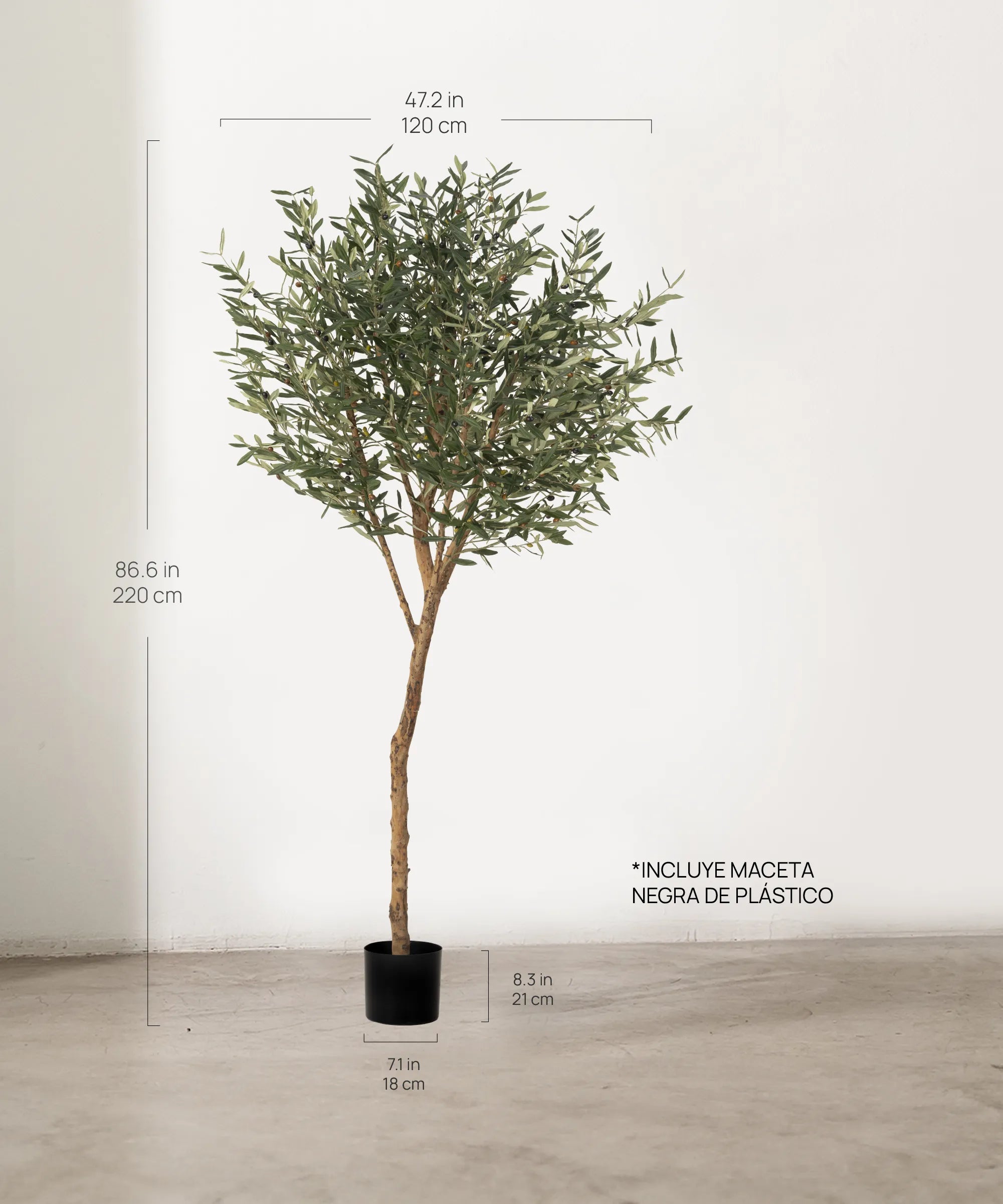Medidas Olivo Artificial Centennial 220 cm