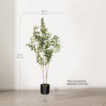 Medidas Olivo artificial Flair 150 cm MAIA SHOP