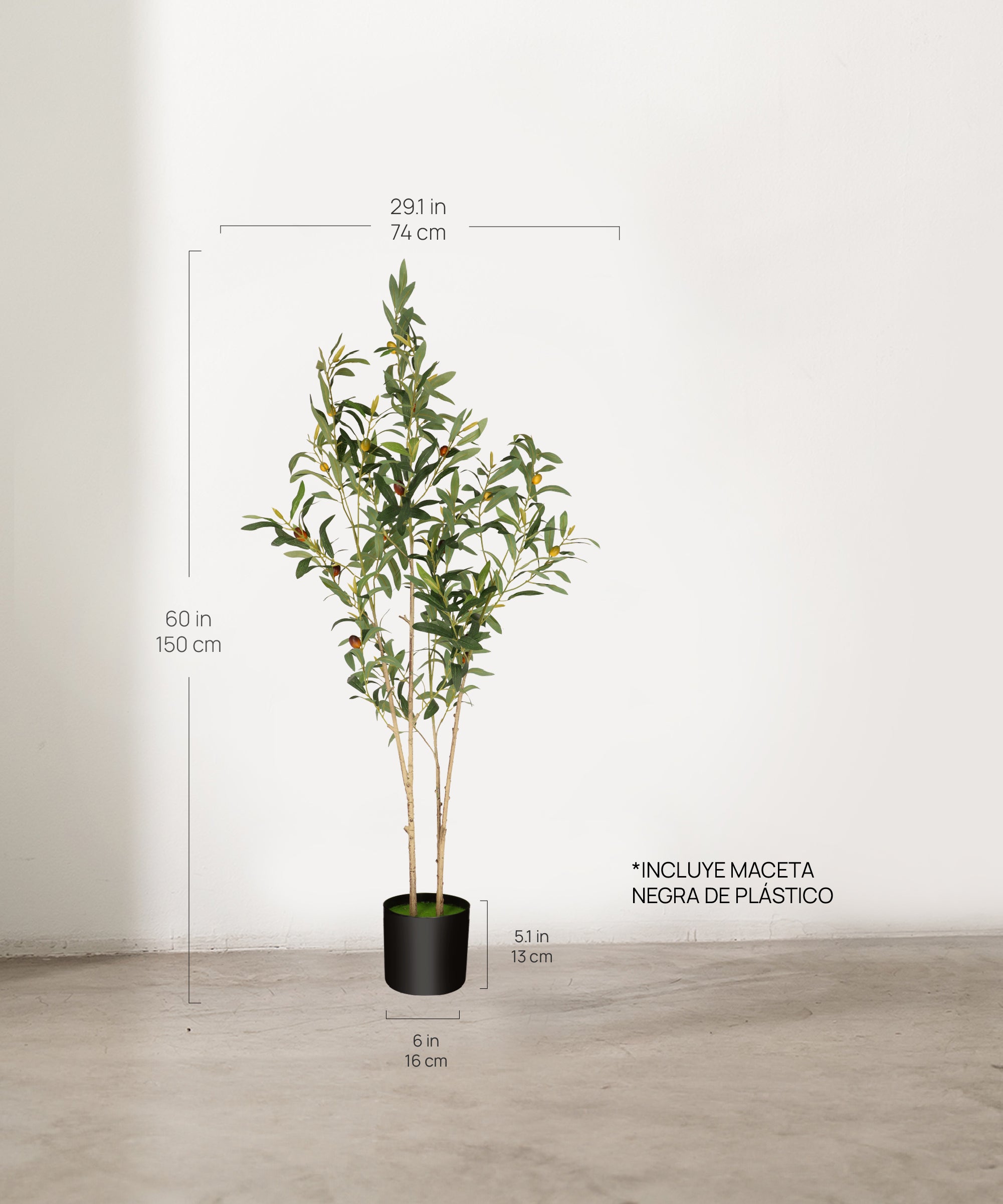 Medidas Olivo artificial Flair 150 cm MAIA SHOP