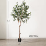 Medidas Olivo artificial Moon 210 cm MAIA SHOP