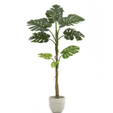 Monstera Artificial 160 MAIA SHOP PNG