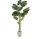 Monstera Artificial 180 MAIA SHOP PNG