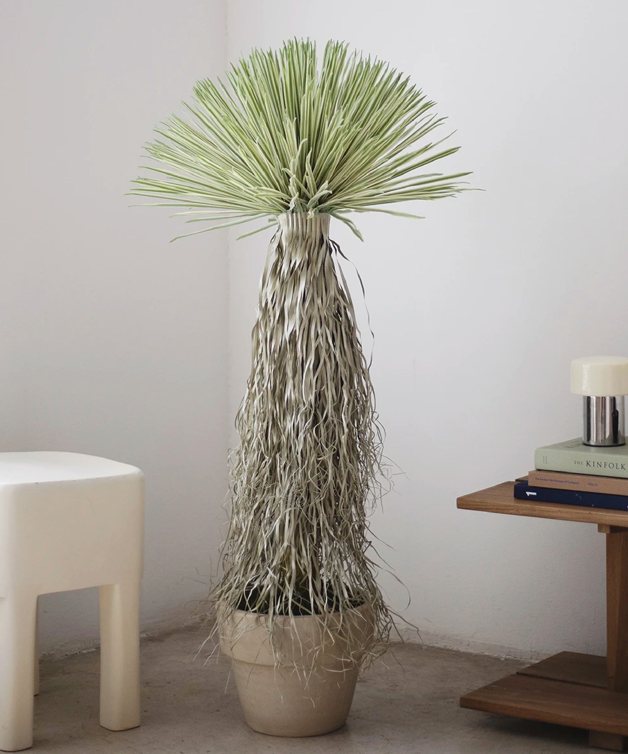 Nolina Artificial 120 MAIA SHOP