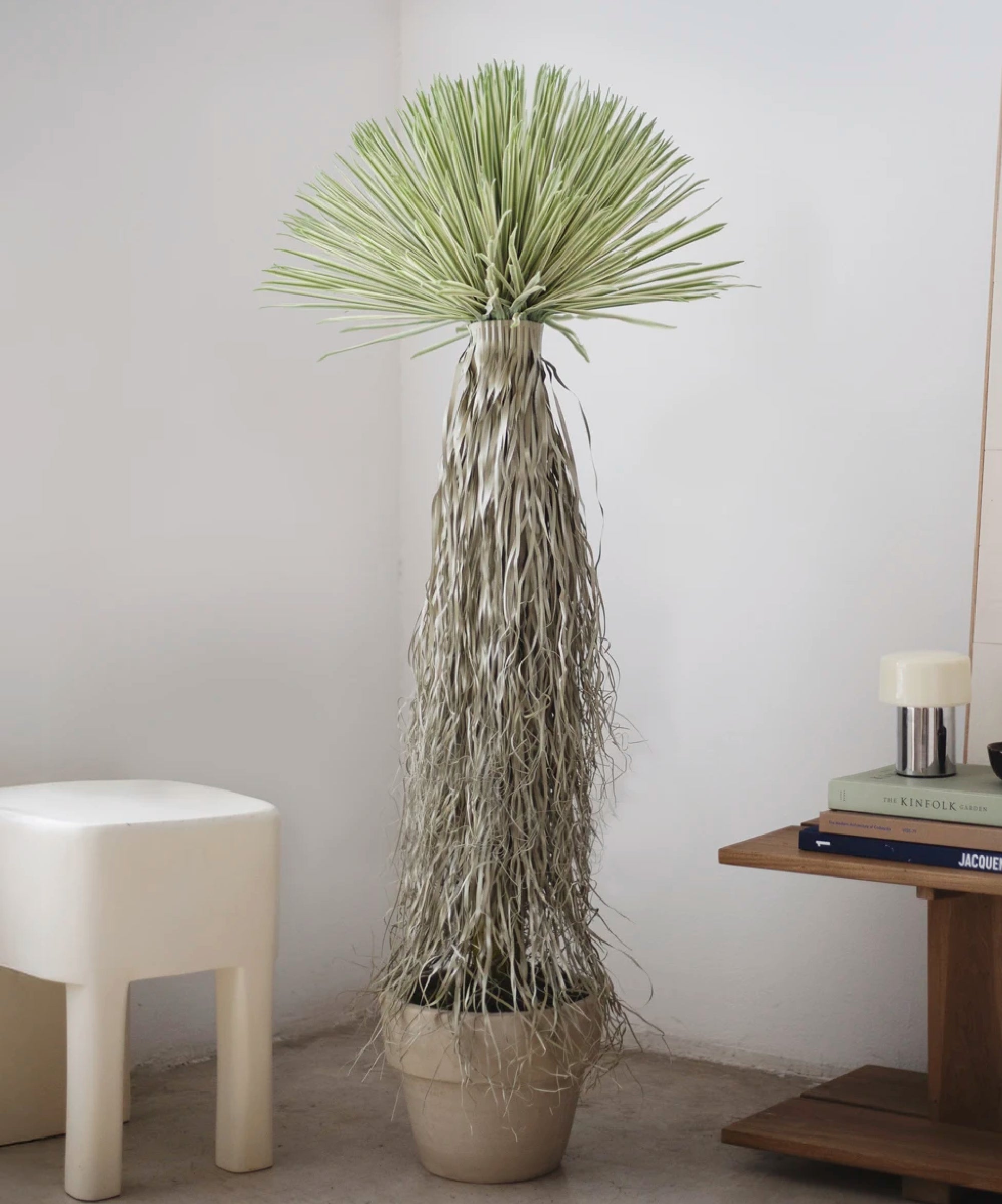 Nolina Artificial 170 MAIA SHOP