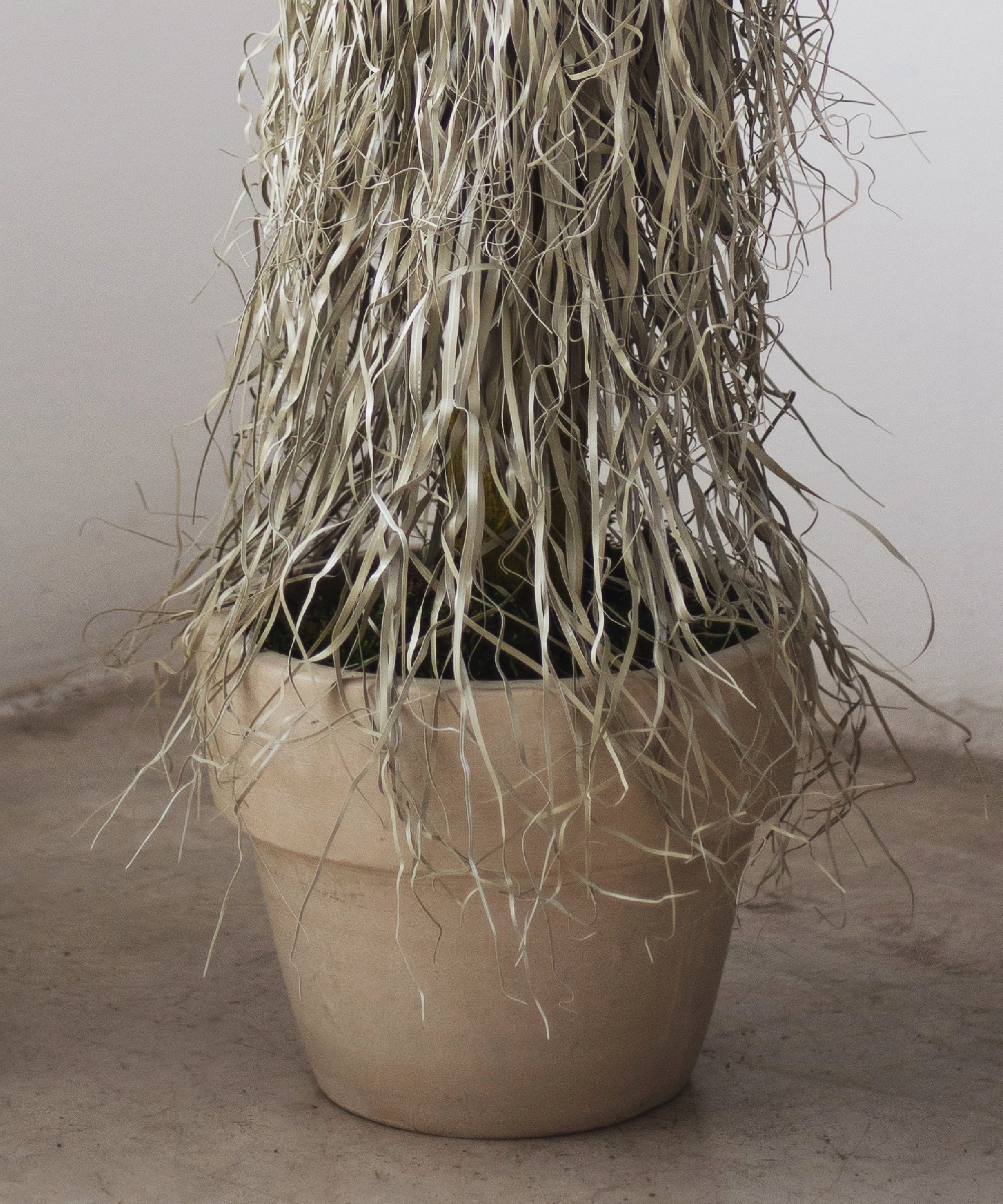 Nolina Artificial MAIA SHOP Detalle Final