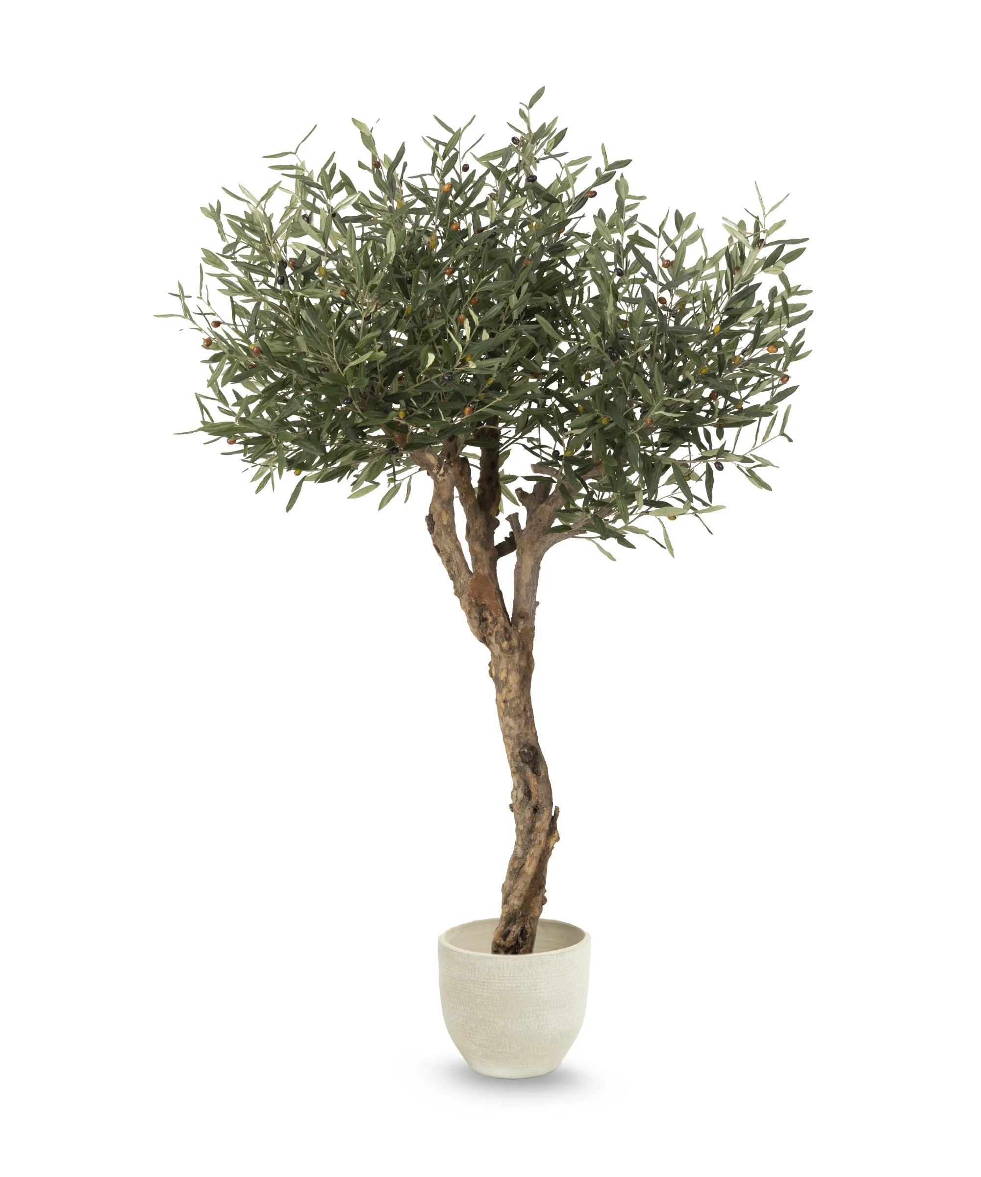 Olivo Artificial Centennial 180cm MAIA SHOP