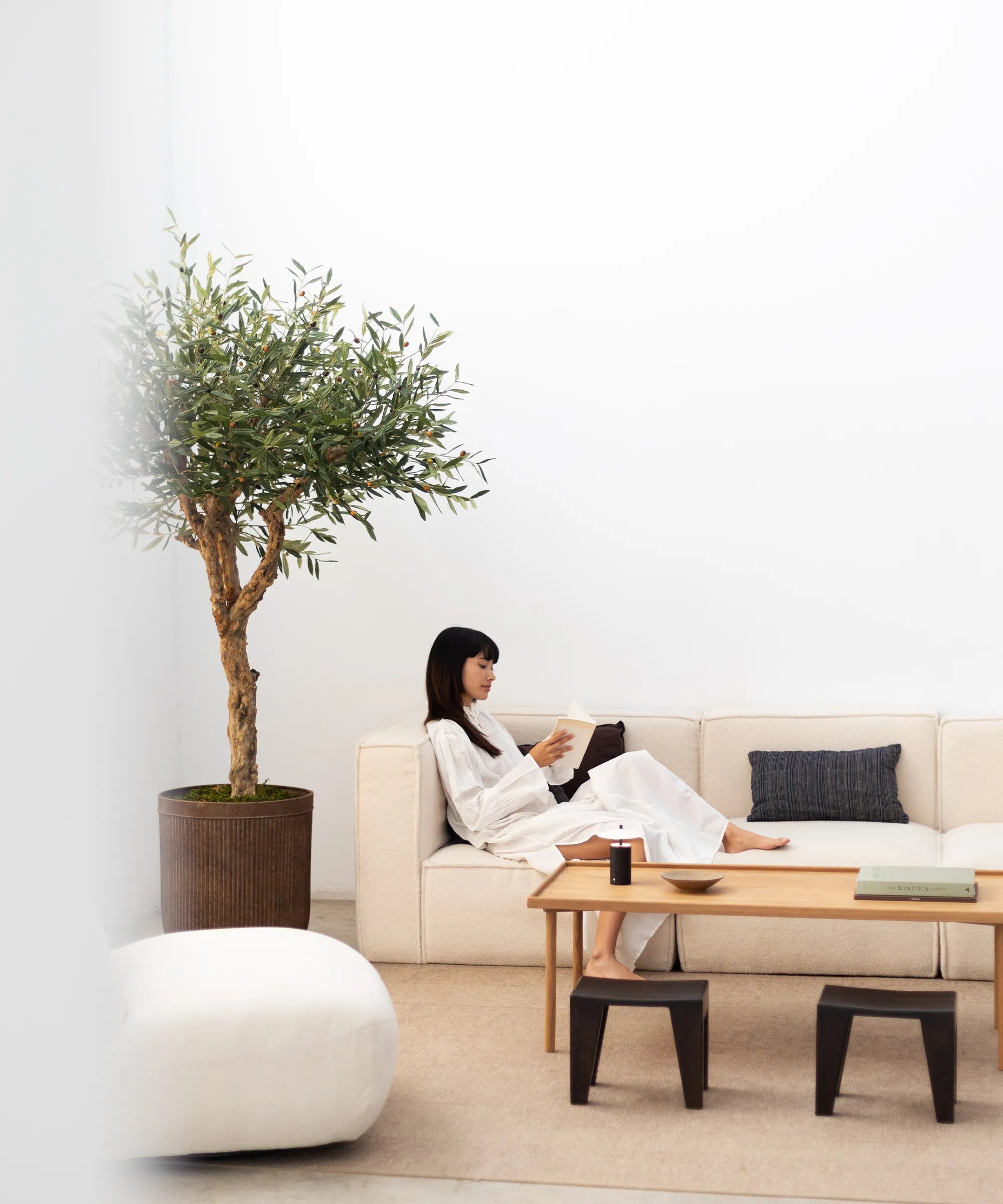 Olivo Artificial Centennial 180 cm MAIA SHOP lifestyle