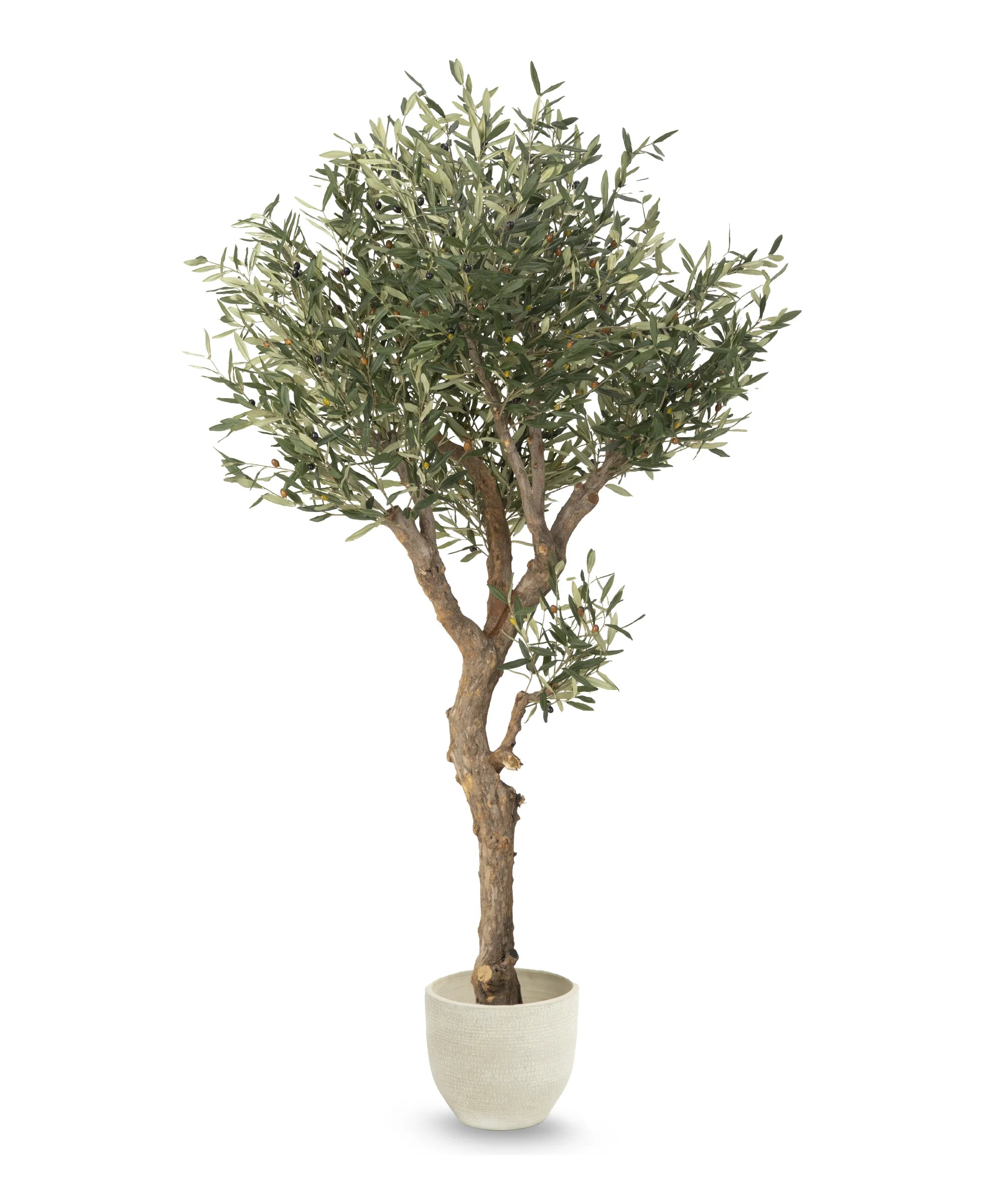 Olivo Artificial Centennial 210 cm