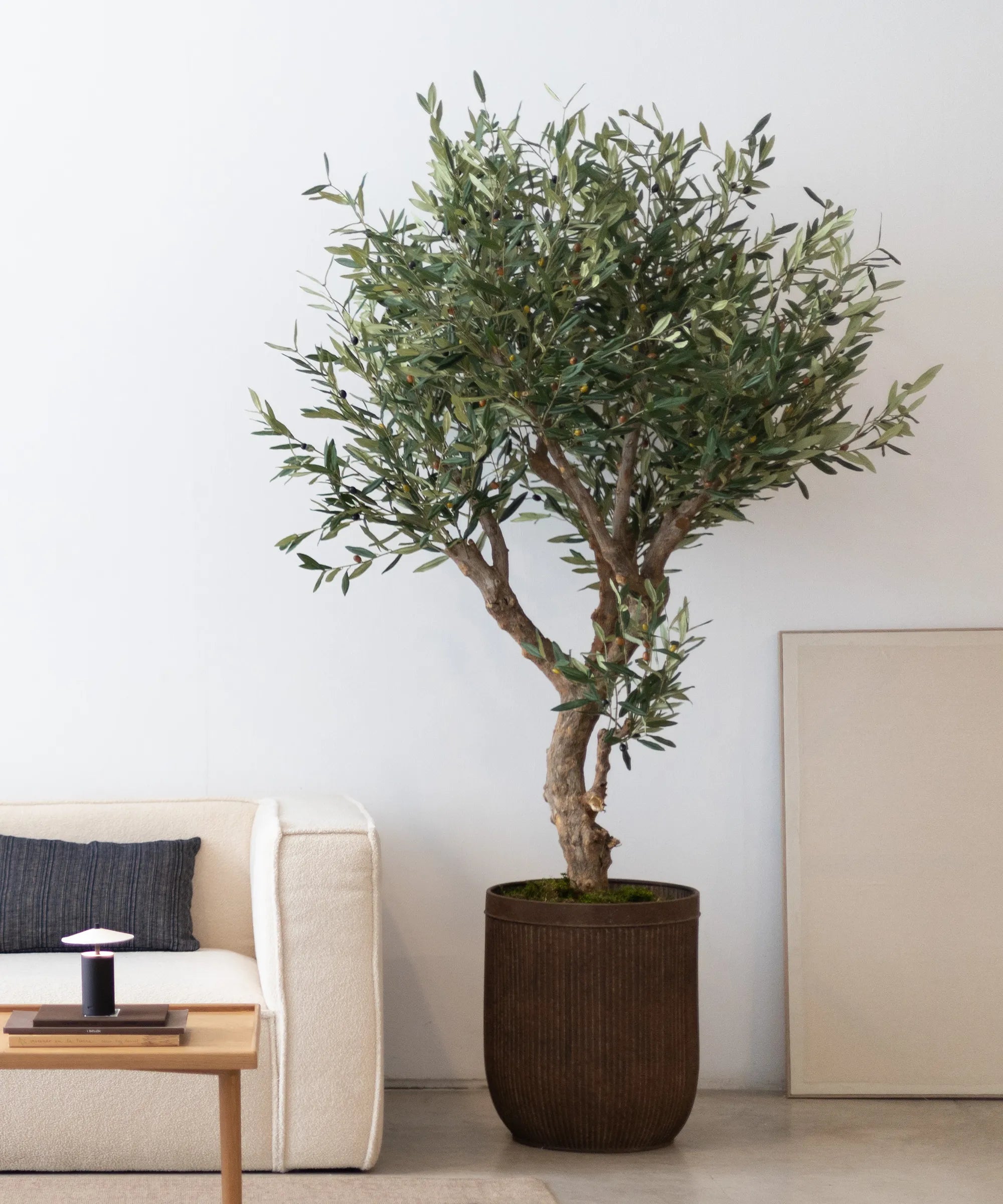 Olivo Artificial Centennial 210cm