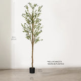 Olivo Minimal 210 cm MAIA SHOP