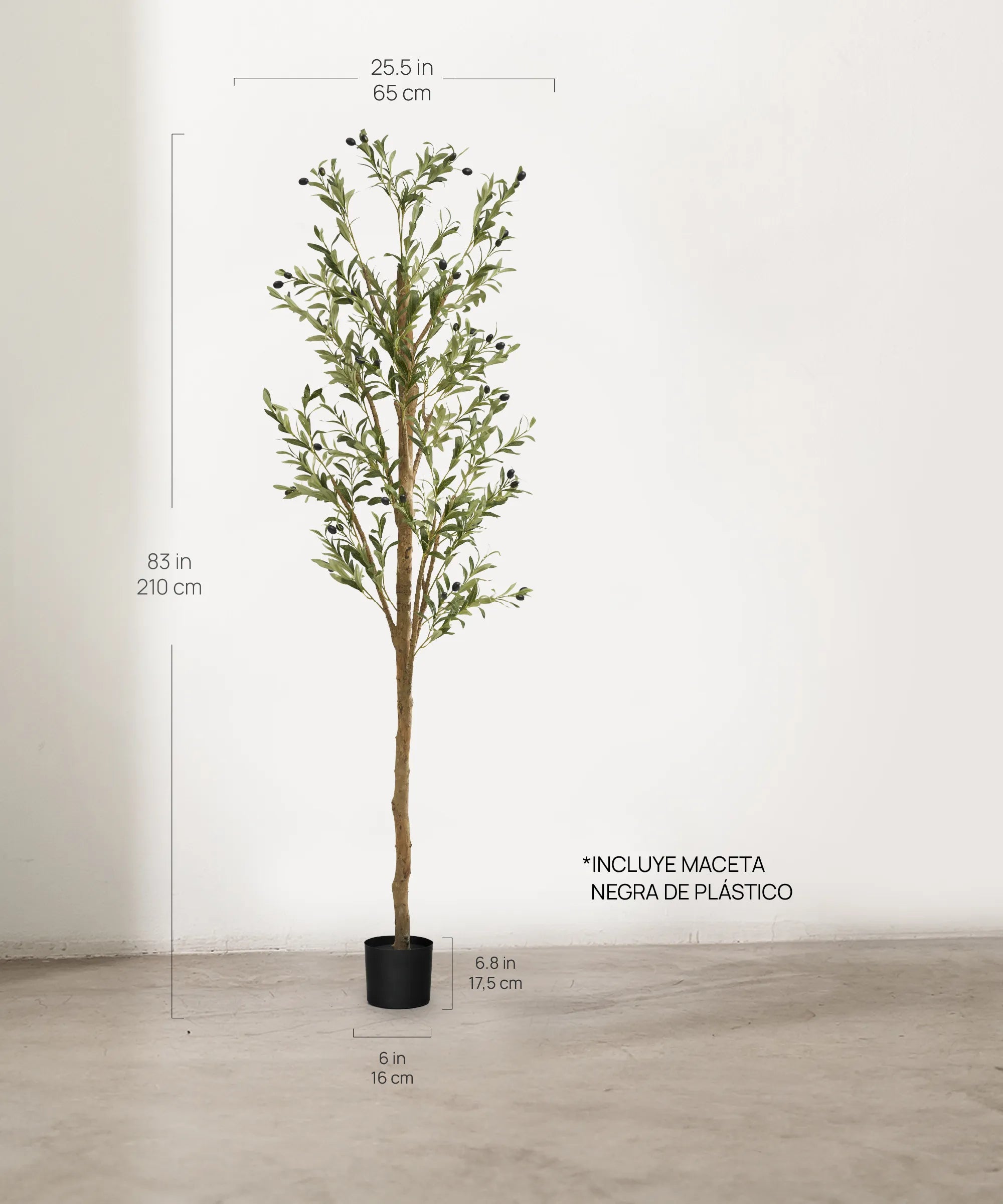 Olivo Minimal 210 cm MAIA SHOP