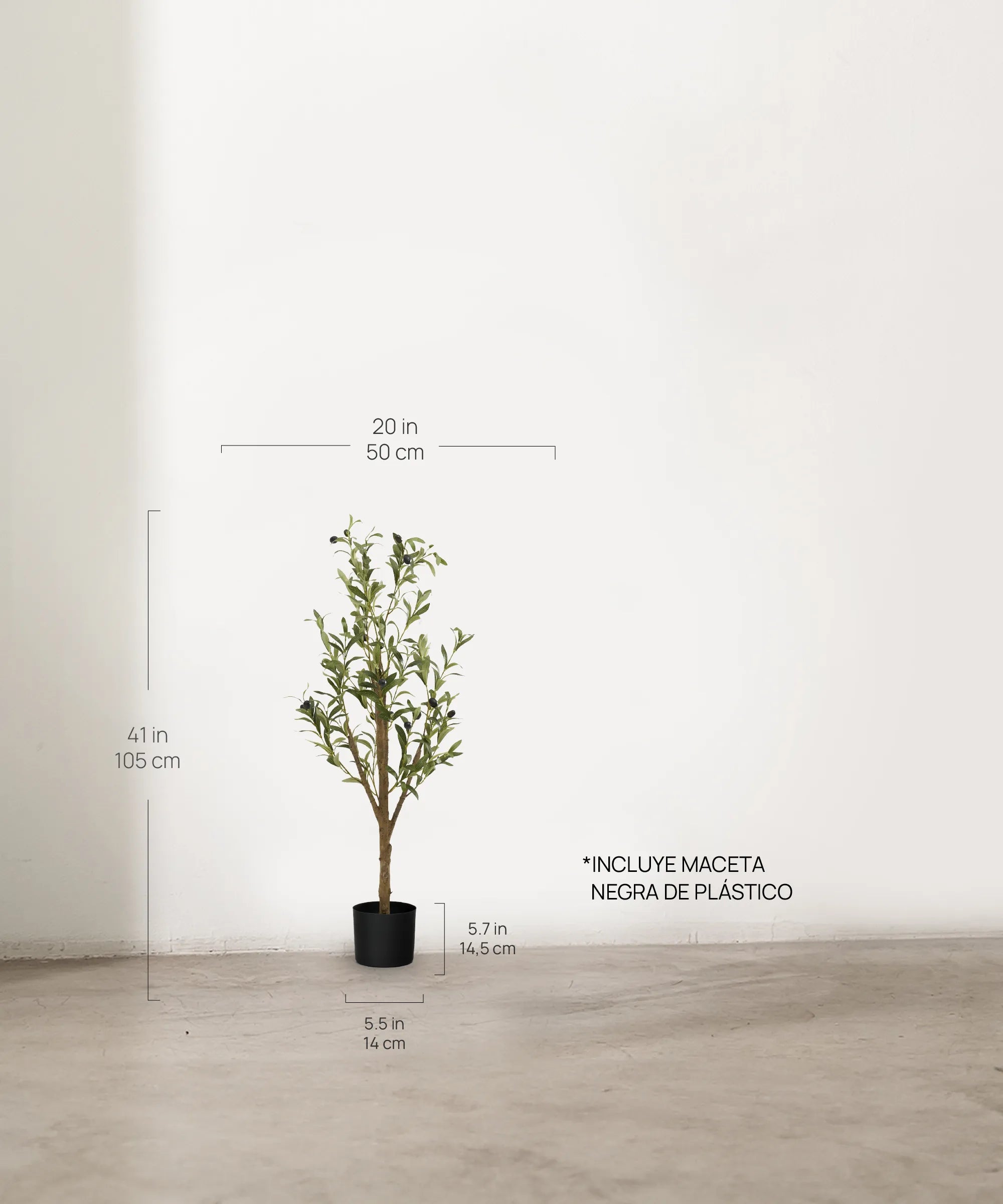 Olivo Minimal MAIA SHOP 105 cm