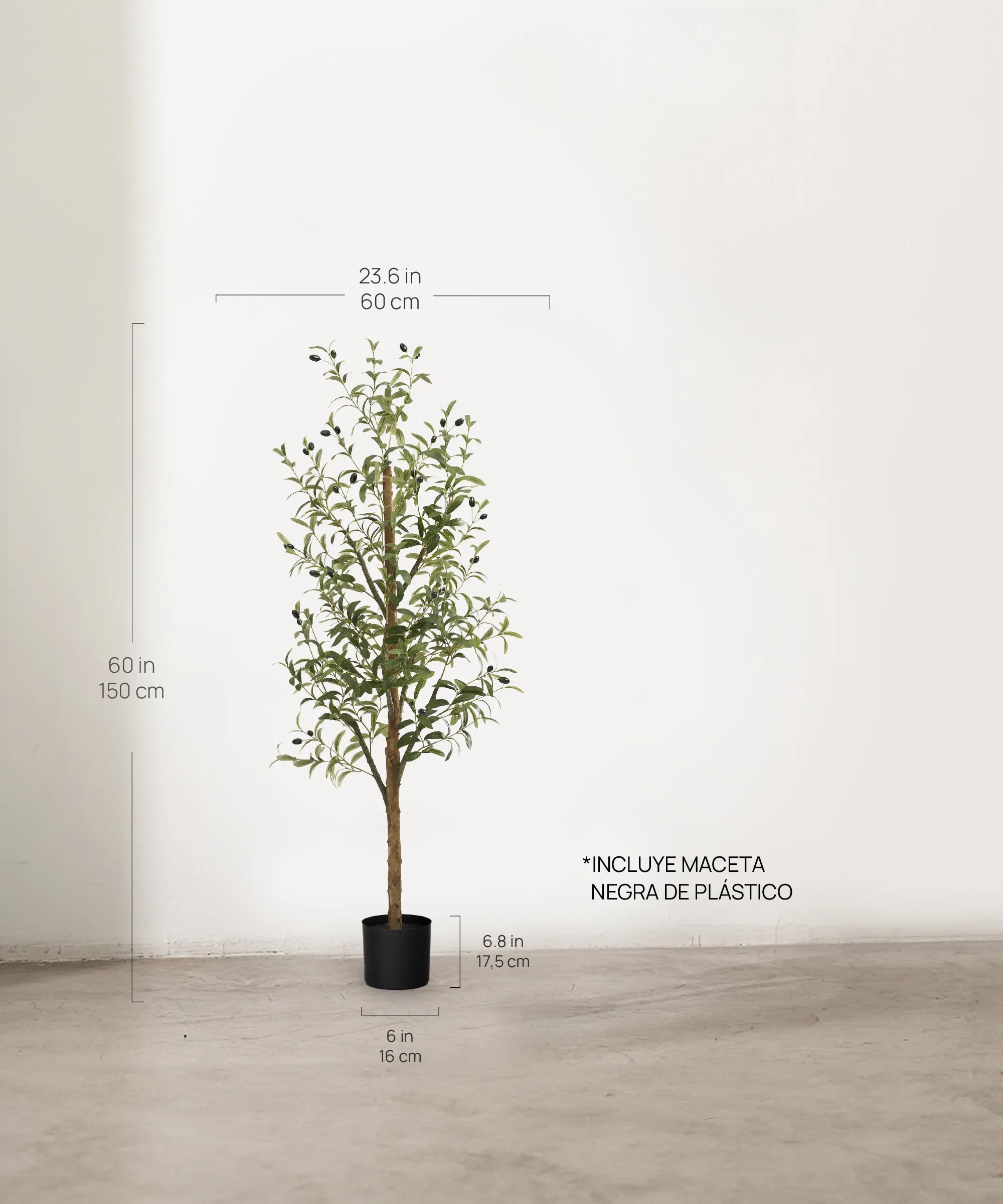 Olivo Minimal MAIA SHOP 150cm