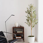 Olivo Minimal MAIA SHOP Recepción