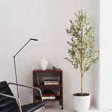 Olivo Minimal MAIA SHOP Recepción