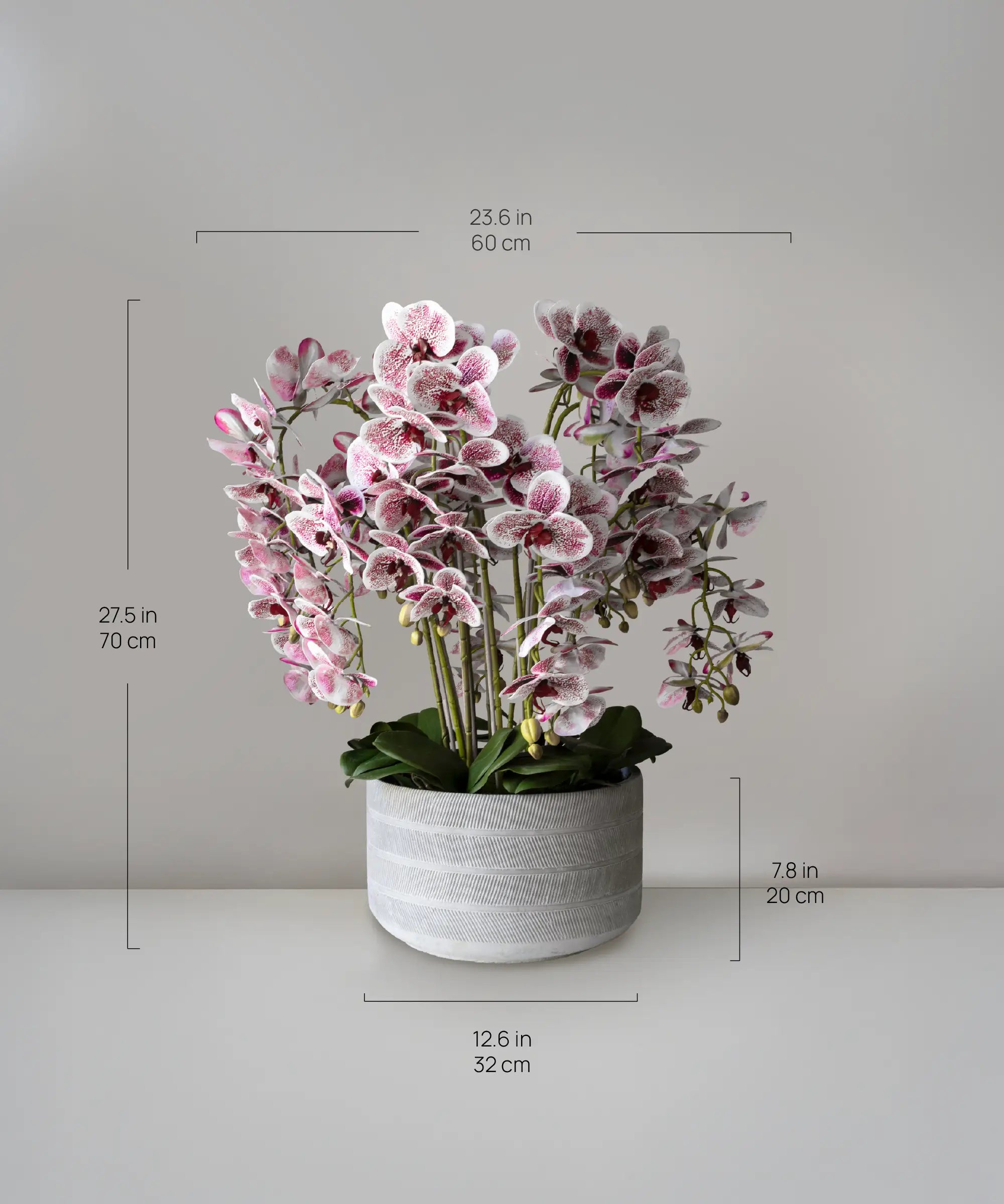 Orquídea artificial Detalle Rosa y Blanco MAIA SHOP Medidas