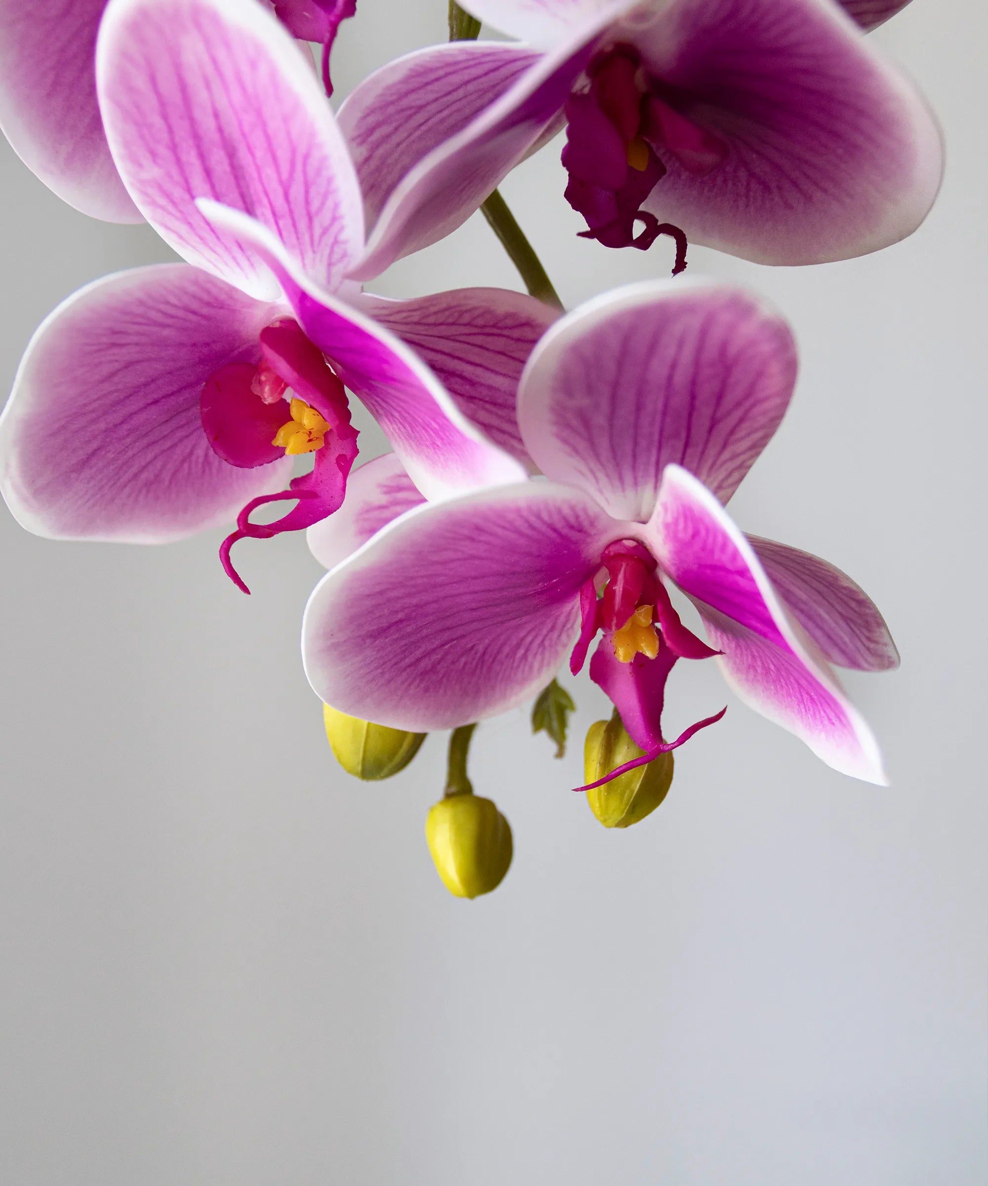Orquídea artificial Fucsia MAIA SHOP Detalle