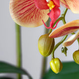 Orquídea artificial Naranja Detalle MAIA SHOP