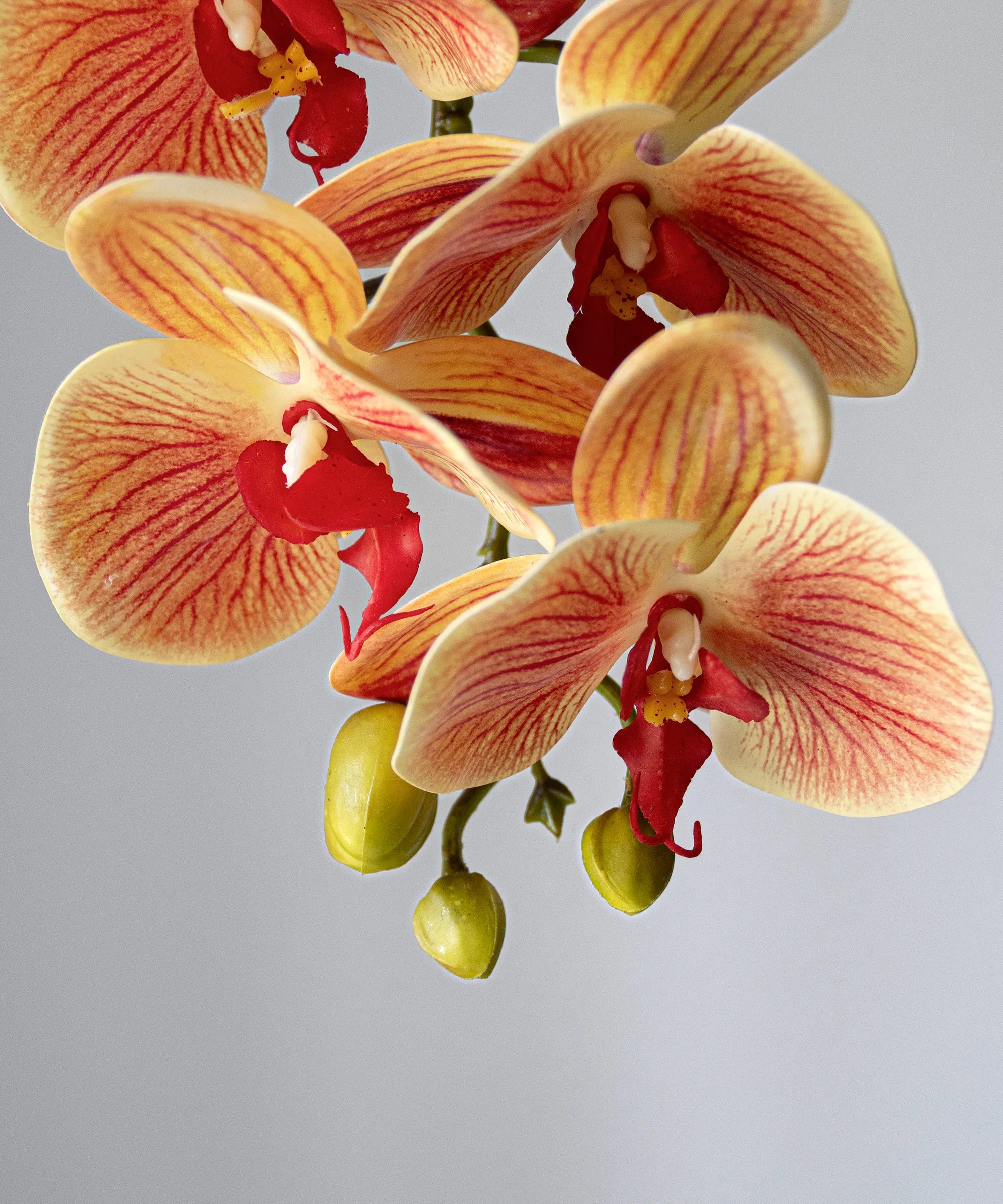 Orquídea artificial Naranja Detalles MAIA SHOP