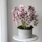 Orquídea artificial con Maceta de cerámica Lina