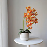 Orquídea artificial con Maceta de cerámica Noa MAIA SHOP