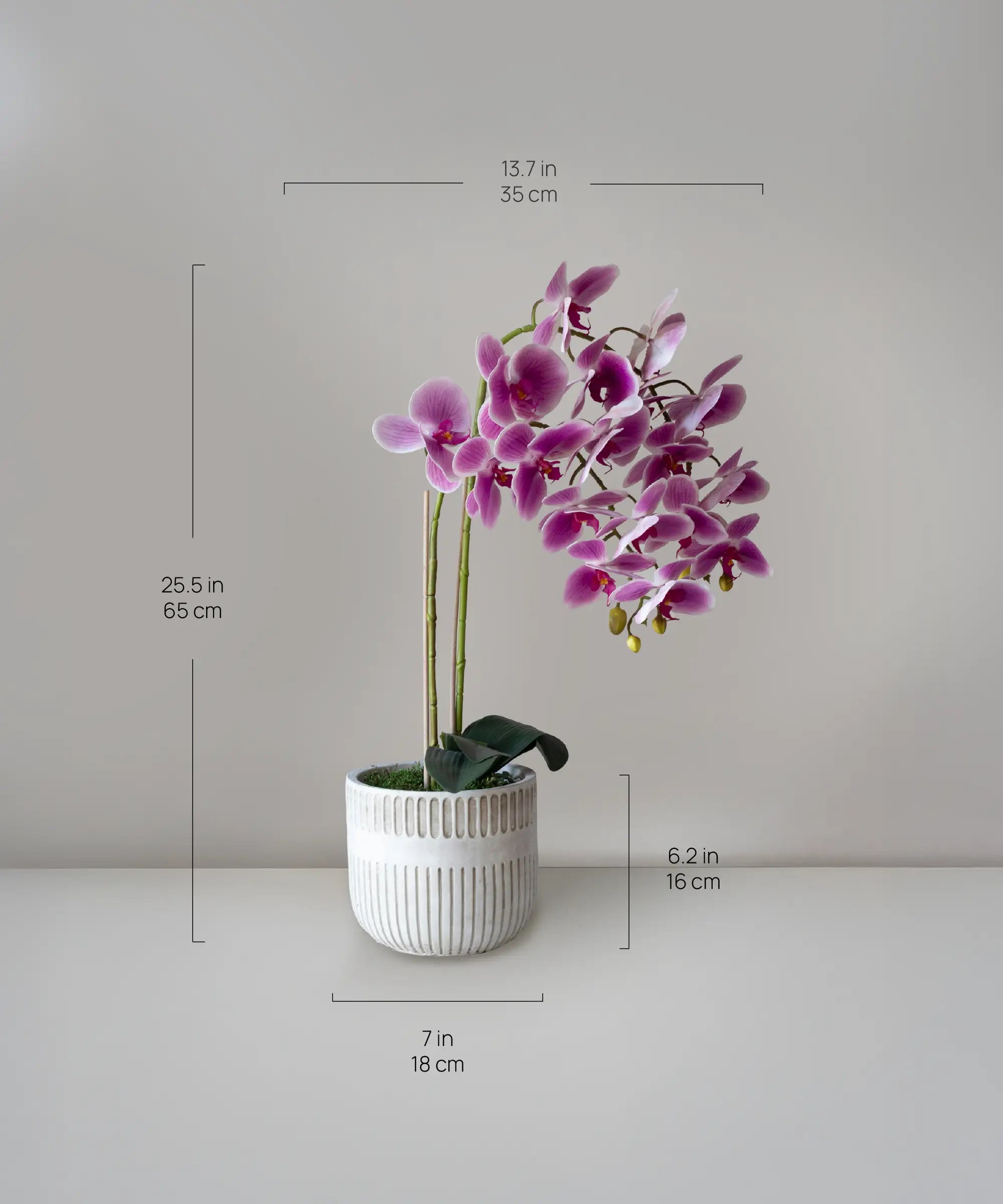Orquídea artificial con Maceta de cerámica Royal Medidas MAIA SHOP
