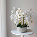 Orquídea artificial con Maceta de cerámica Sira Blanca