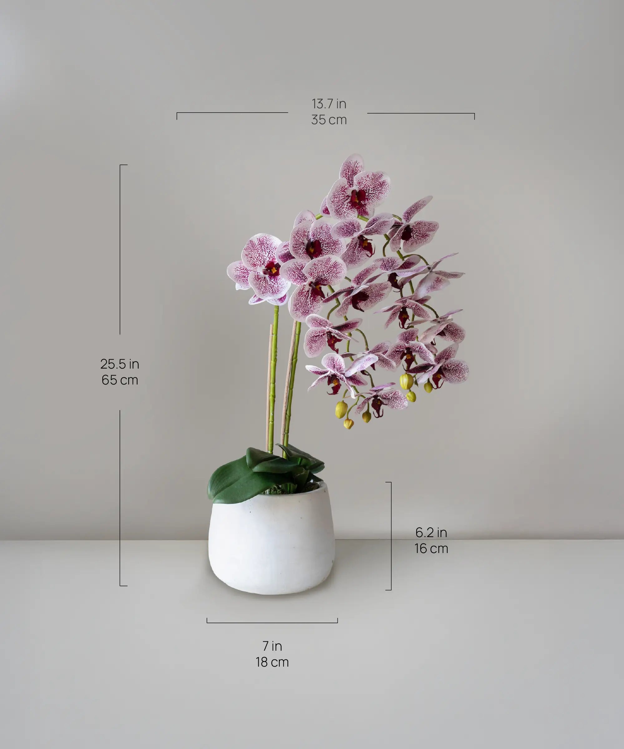 Orquídea artificial con Maceta de cerámica Soft MAIA SHOP Medida Maceta