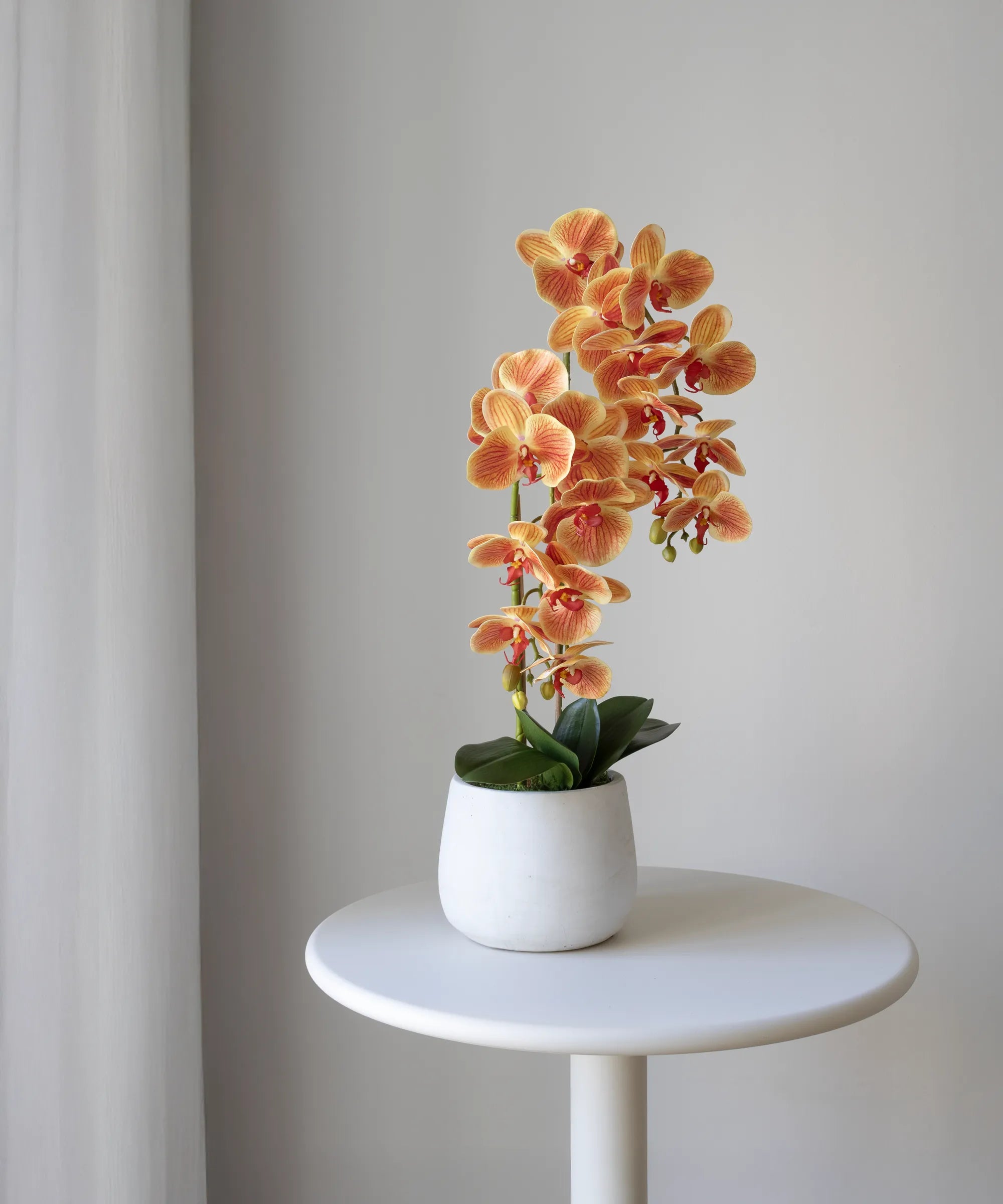 Orquídea artificial con Maceta de cerámica Soft Naranja