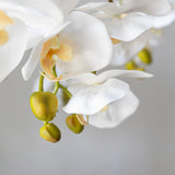 Orquidea artificial Flor Blanca Detalle Flor MAIA SHOP