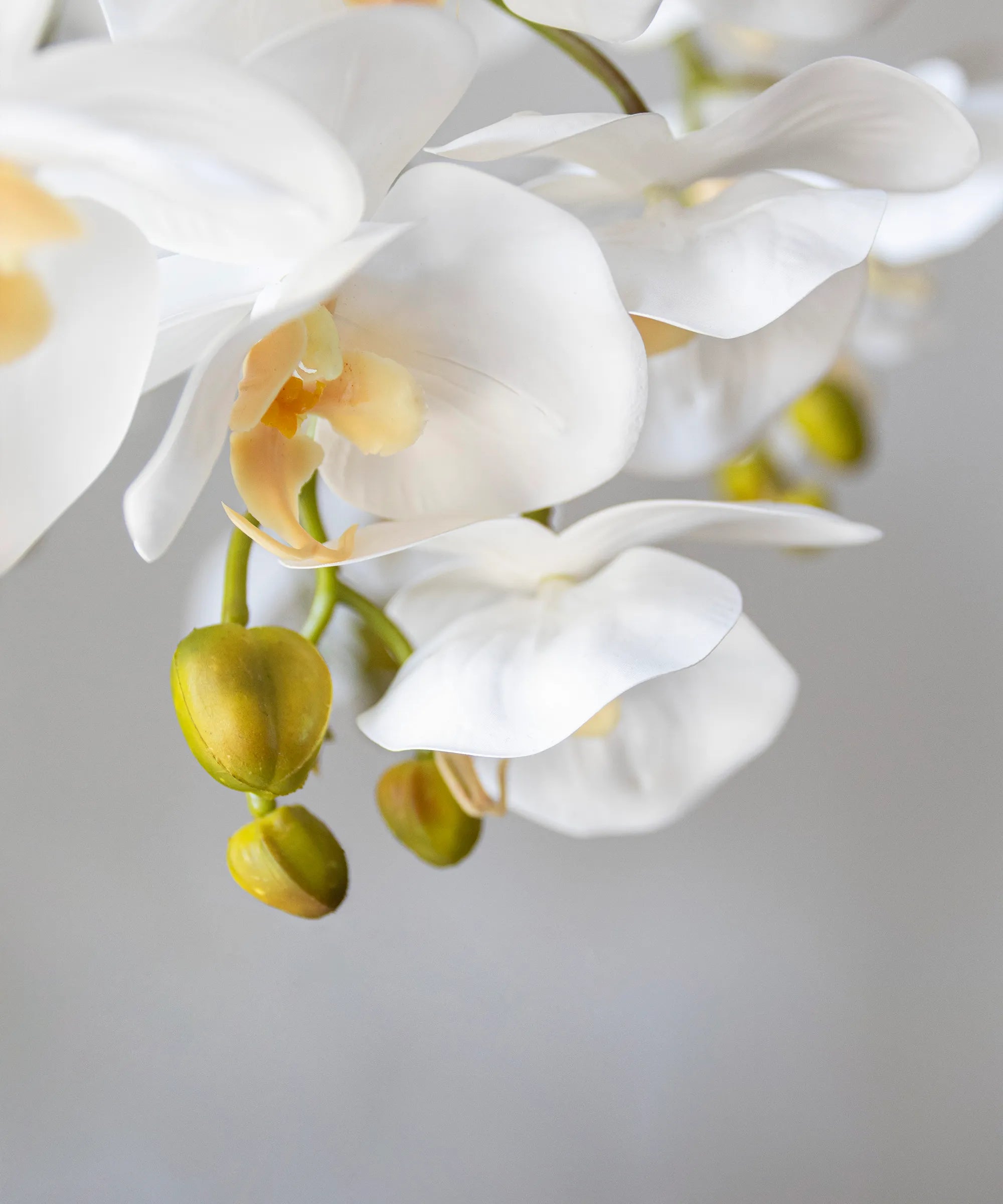 Orquidea artificial Flor Blanca Detalle Flor MAIA SHOP