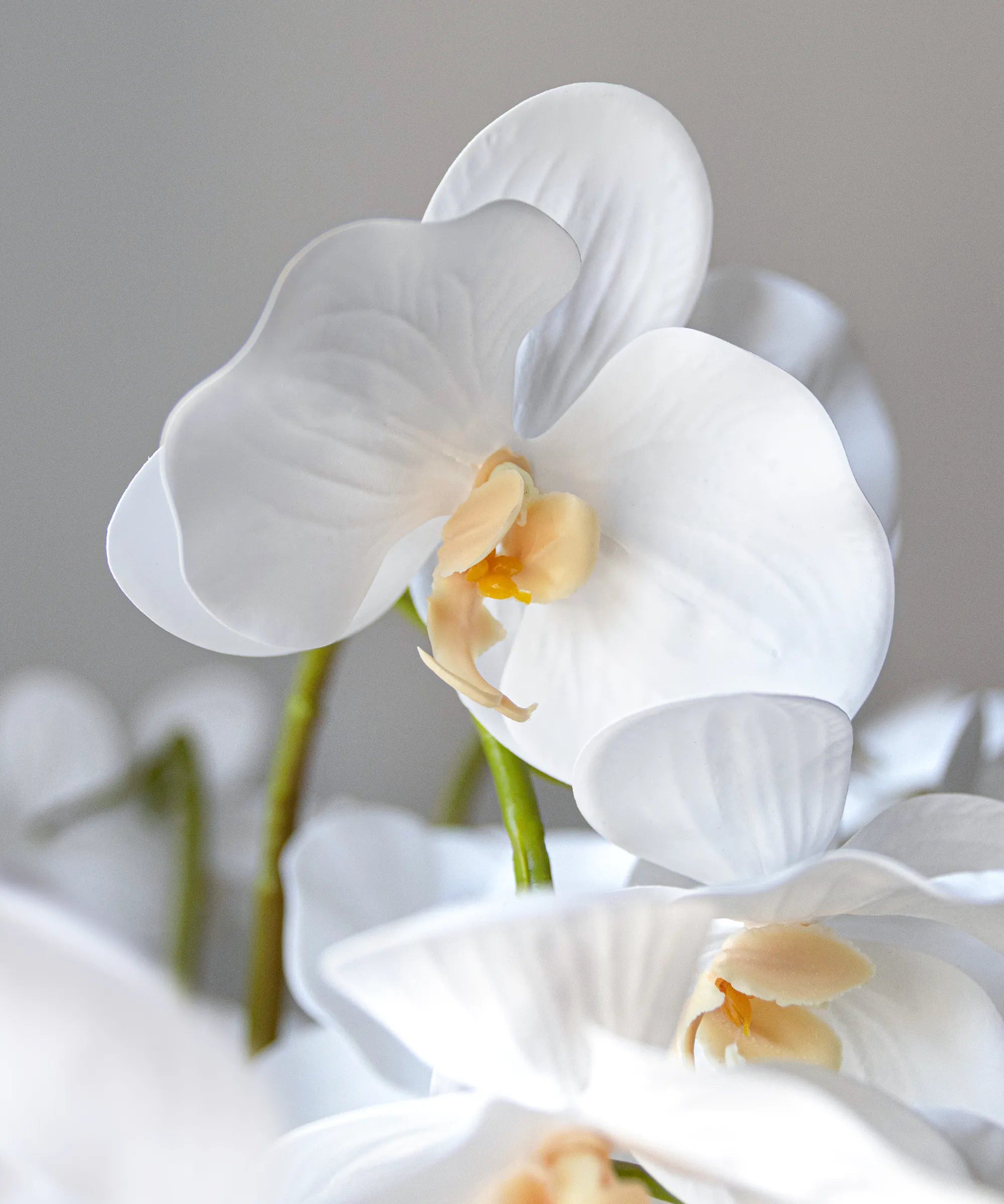Orquidea artificial Flor Blanca Detalle MAIASHOP