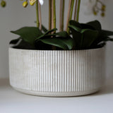 Orquidea artificial Flor Blanca Detalle Maceta MAIASHOP