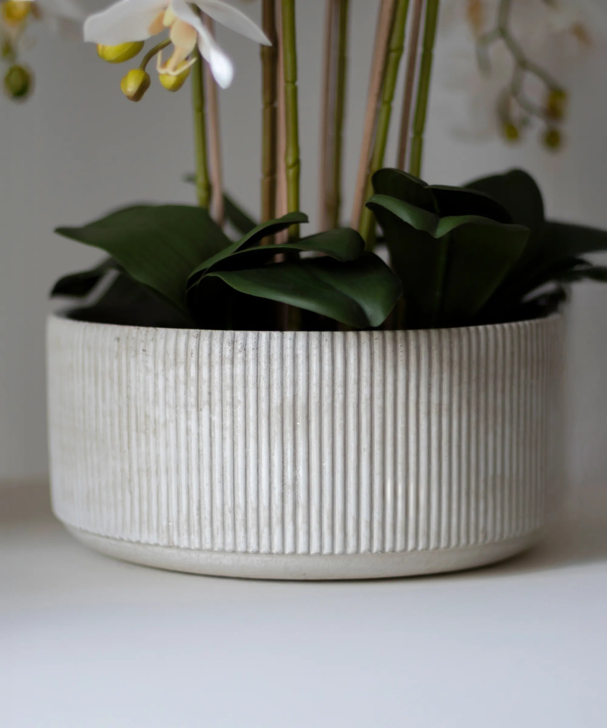 Orquidea artificial Flor Blanca Detalle Maceta MAIASHOP