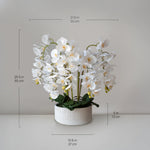 Orquidea artificial Flor Blanca Detalle Medidas MAIA SHOP