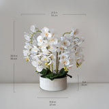 Orquidea artificial Flor Blanca Detalle Medidas MAIA SHOP