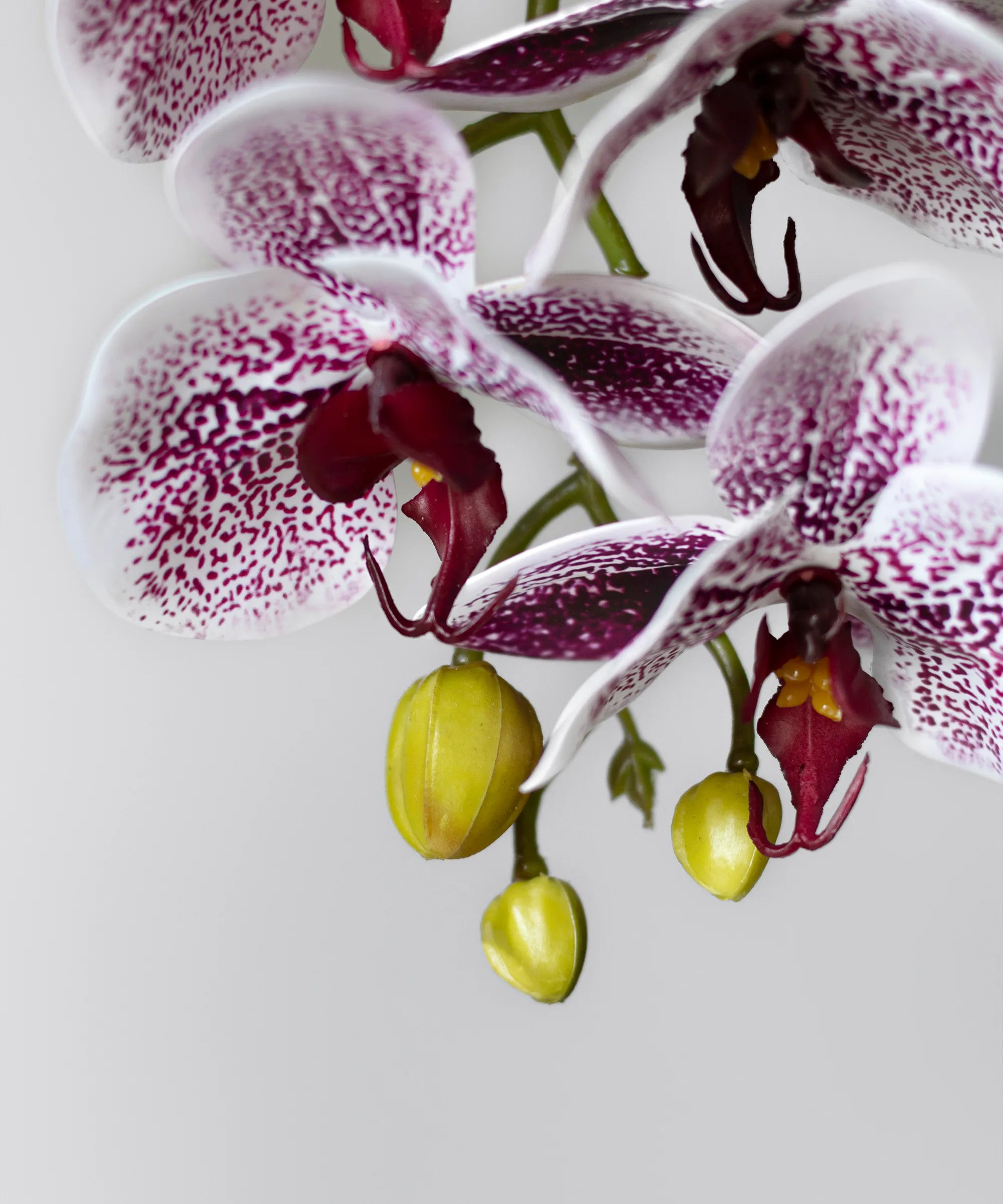 Orquidea artificial Rosa y Blanco MAIA SHOP Detalle