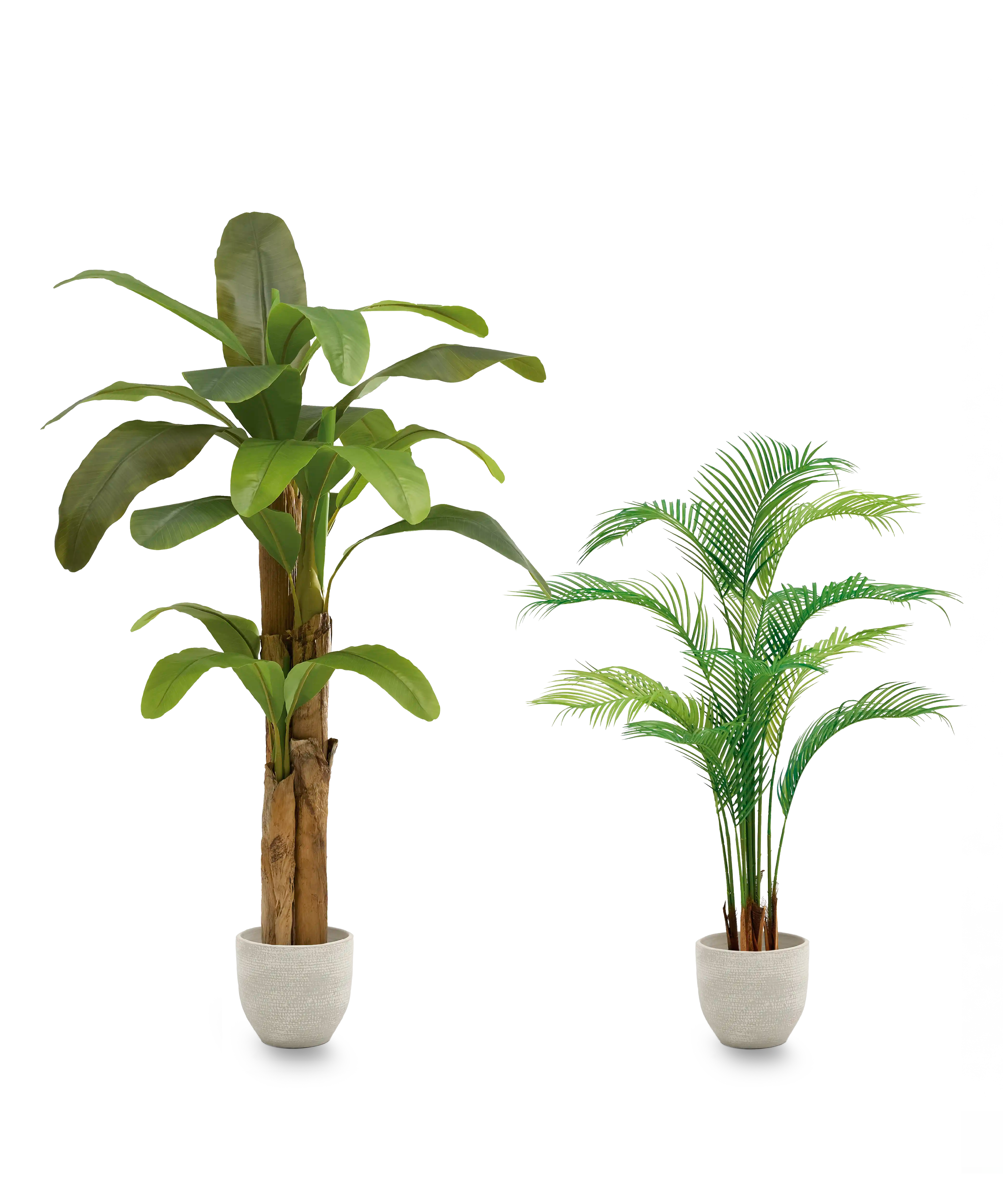 Pack Tropical Vibes MAIA SHOP