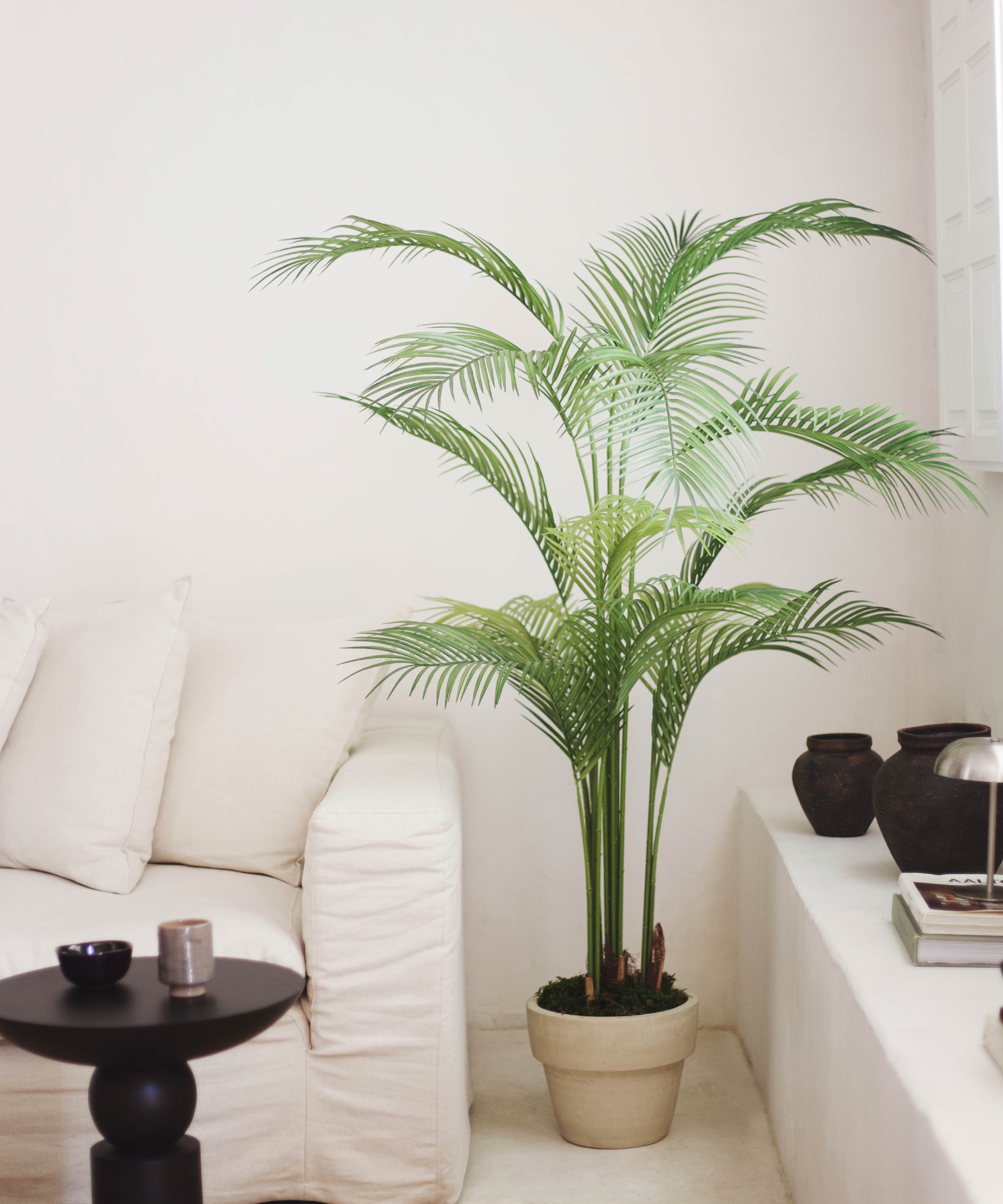 palmera plant indoor Artificial Palm