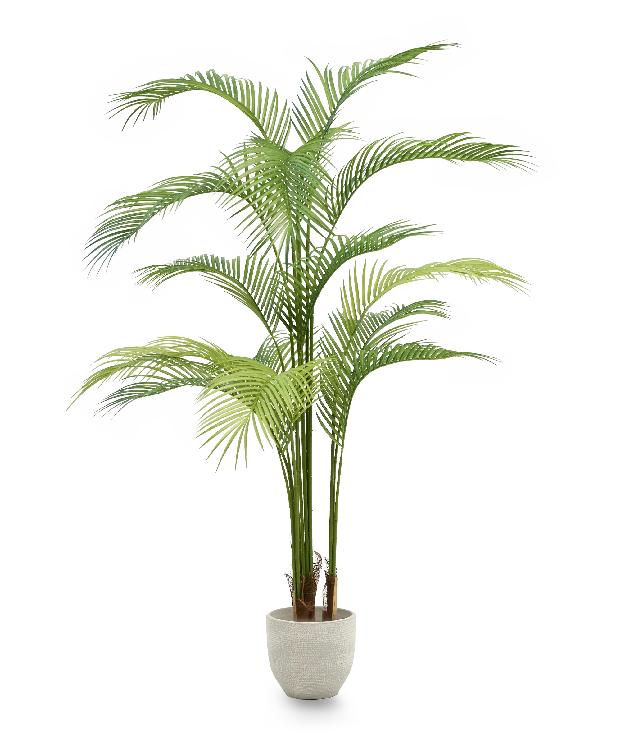 Palmera Artificial 180 MAIA SHOP PNG